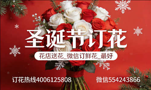 乌海海勃湾区花店送花_微信订鲜花_圣诞节订花_最好? 乌海海勃湾区花店