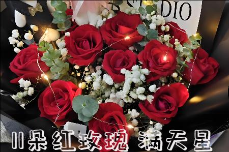 乌海海勃湾区哪里有花店